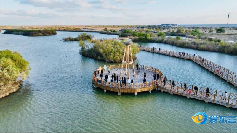 的第23分 的第23分