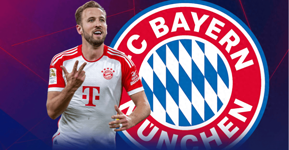 这位新援或 这位新援或